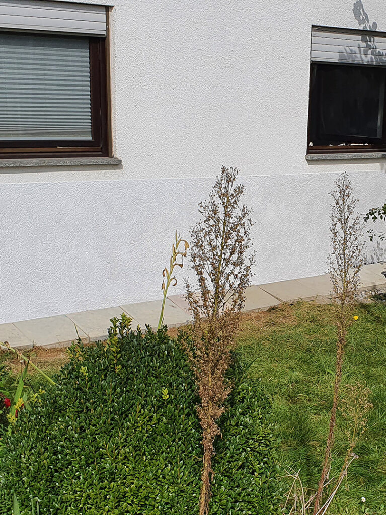 kewabo® gmbh duisburg referenzen